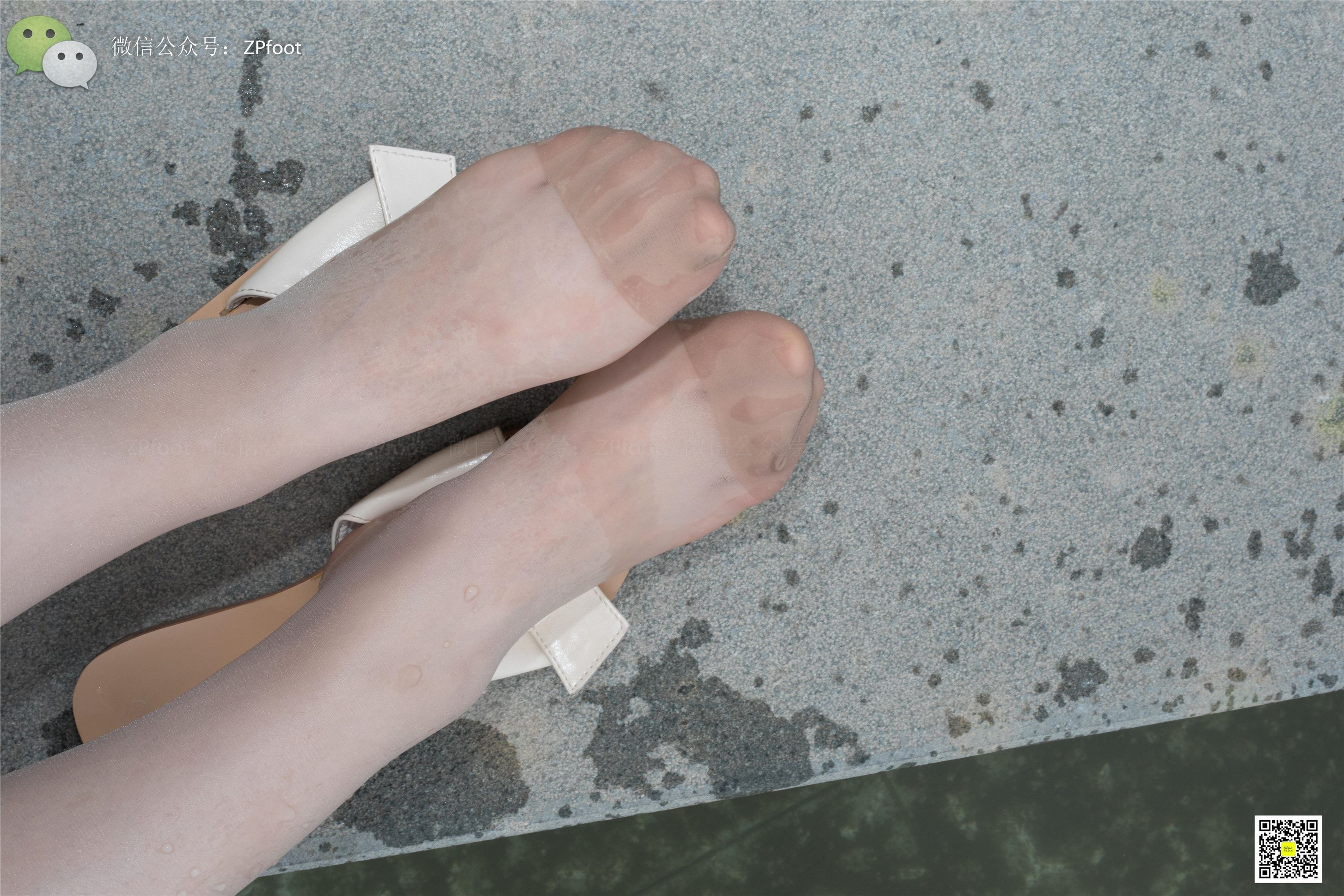 LSS山茶摄影 NO.012 大一艺术系肉丝